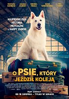Pes, který cestoval vlakem