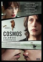 Kosmos