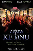 Cesta ke dnu